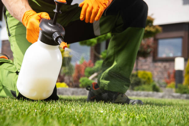 Best Termite Control Services  in Sanger, TX