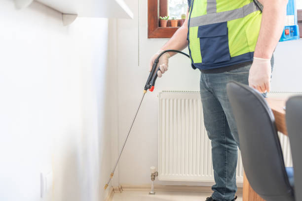 Reliable Sanger, TX Pest Control Solutions