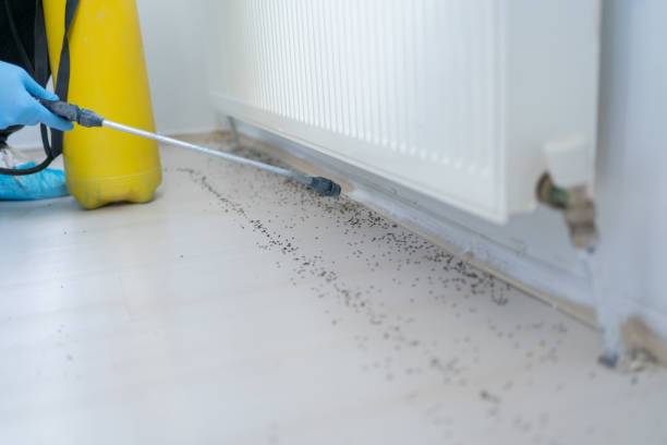 Best Best Pest Control Companies  in Sanger, TX